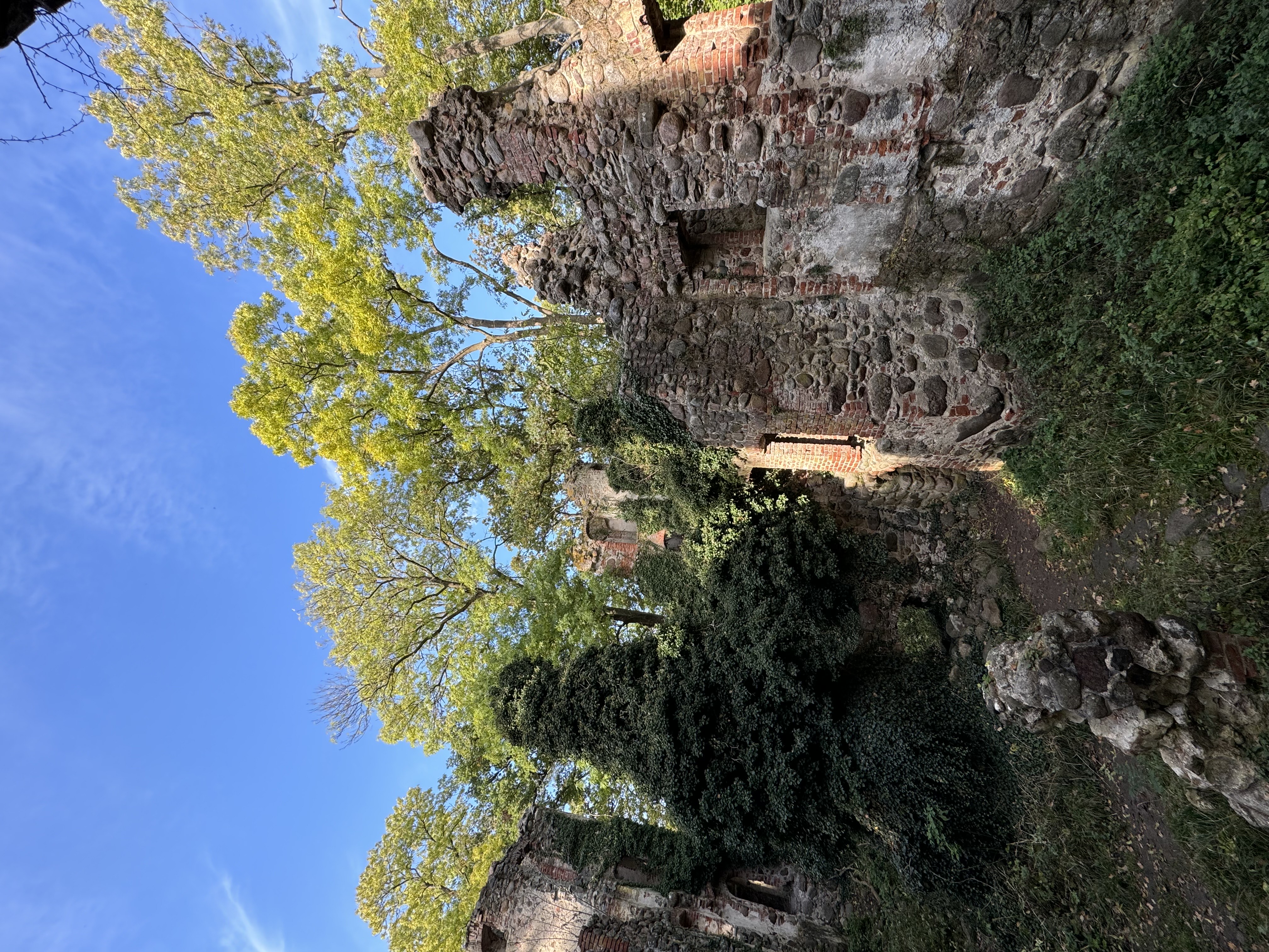 Burgruine Landskron